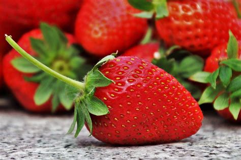 Buah stroberi 2d togel Stroberi atau strawberry merupakan salah satu bibit buah paling laris di BibitBunga